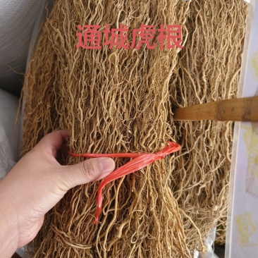 中药材通城虎根五虎通城货源充足，量大优惠