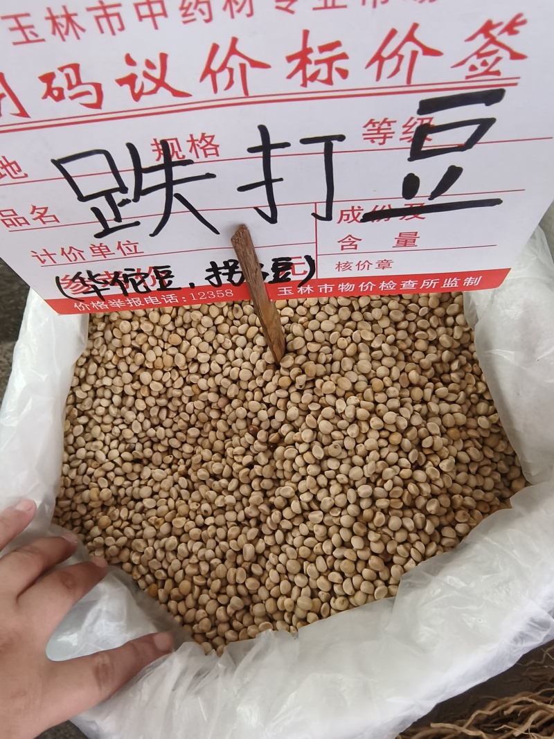 华佗豆跌打豆拐子豆货源充足10公斤以上