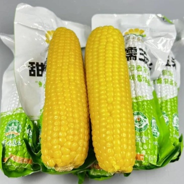 加玉富晓品牌玉米招带货