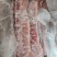 猪龙骨，价格美丽，带肉率高，证件齐全一件起发，日期新鲜