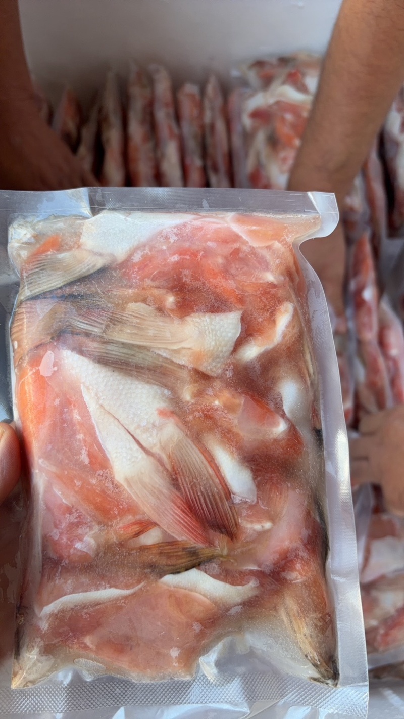 三文鱼鱼鳍三文鱼鱼翅原浆鱼翅马哈鱼鱼翅烧烤食材自助餐食材
