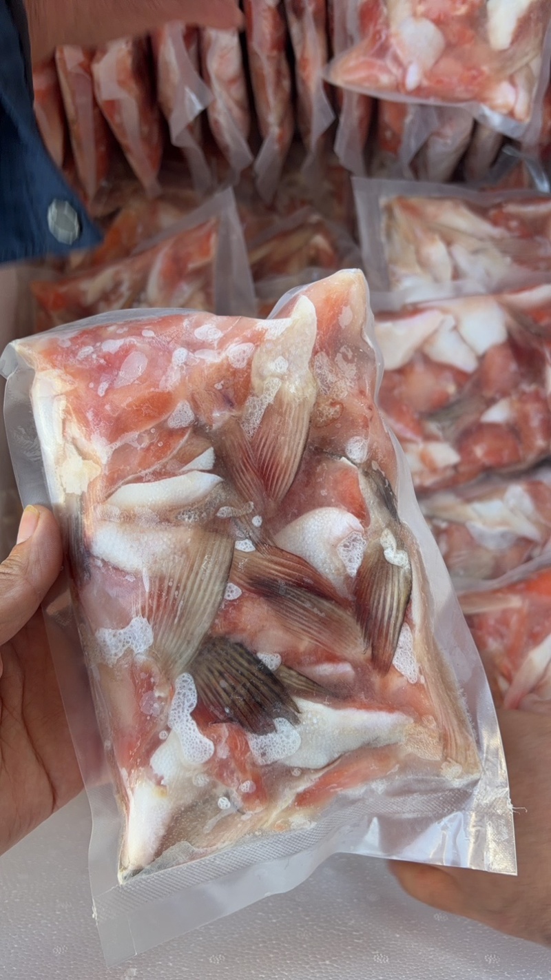 三文鱼鱼鳍三文鱼鱼翅原浆鱼翅马哈鱼鱼翅烧烤食材自助餐食材