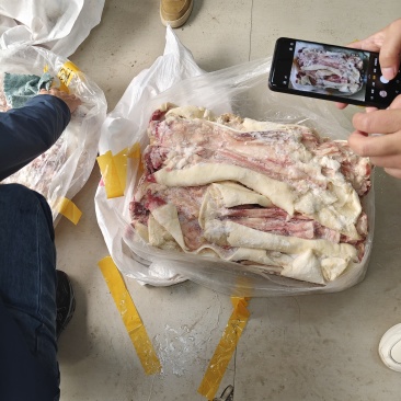去骨牛蹄筋