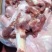 羊棒骨，满肉多肉都有货，个个带骨髓，各位餐饮店老板囤货