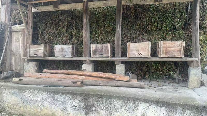 《蜂蜜》一年一季/质量保证/贵州蜂蜜/欢迎来电咨询