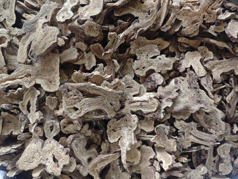 各种规格白术，零售批发
