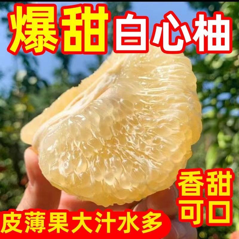 宣恩贡柚李家河柚子新鲜柚子白心柚子