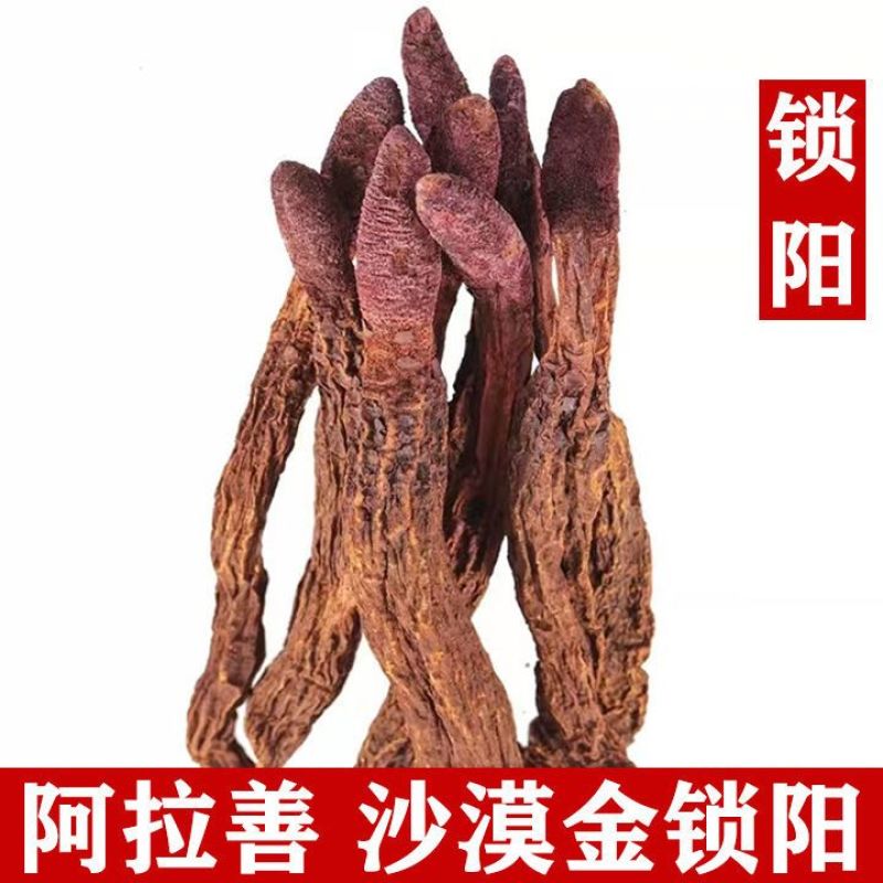 锁阳中药材正品锁阳个无硫中药材沙漠人参锁阳