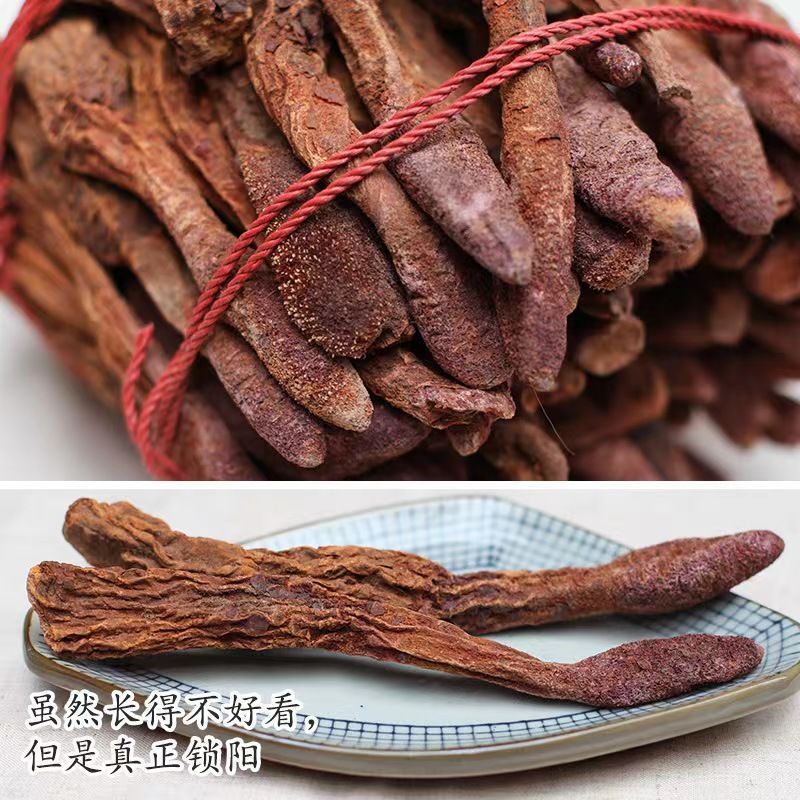 锁阳中药材正品锁阳个无硫中药材沙漠人参锁阳