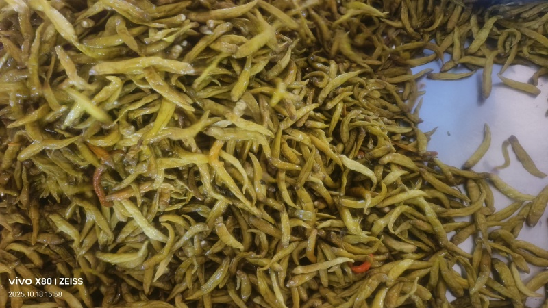 青泡椒