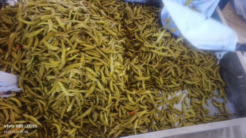 青泡椒