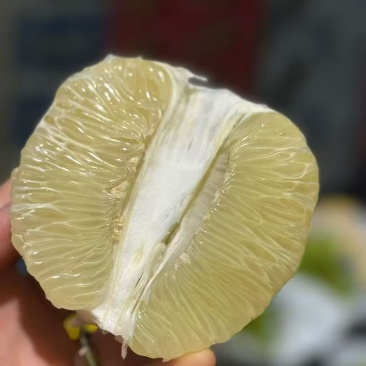 安江冰糖柚