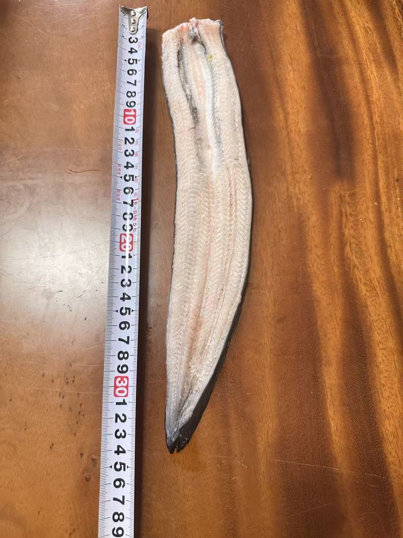 冷冻生鳗片规格齐全可定制可视频看货选货