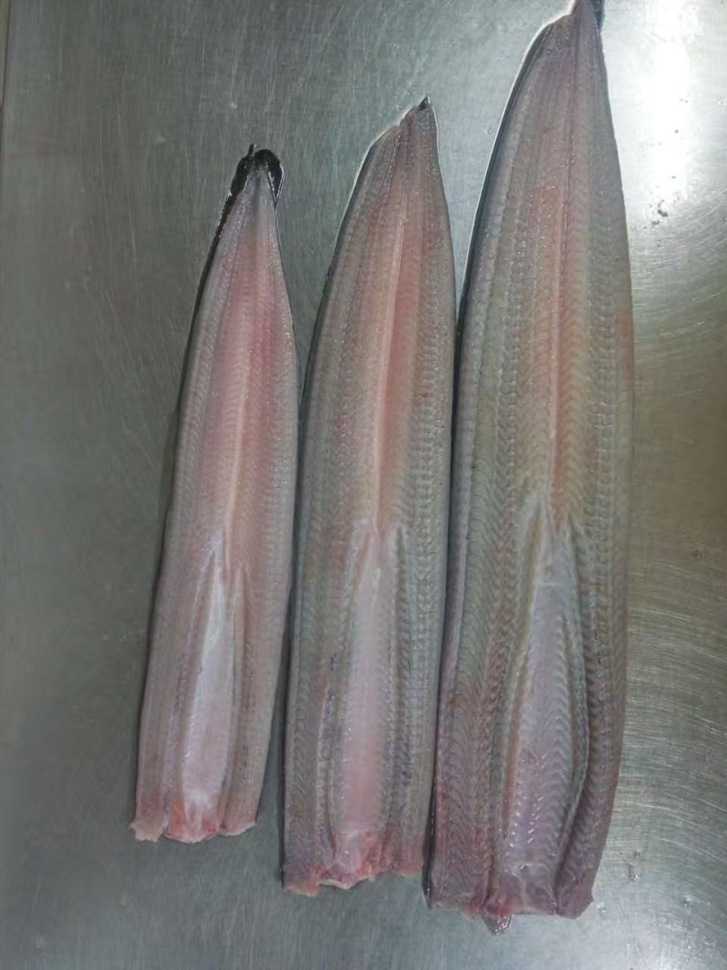 冷冻生鳗片规格齐全可定制可视频看货选货