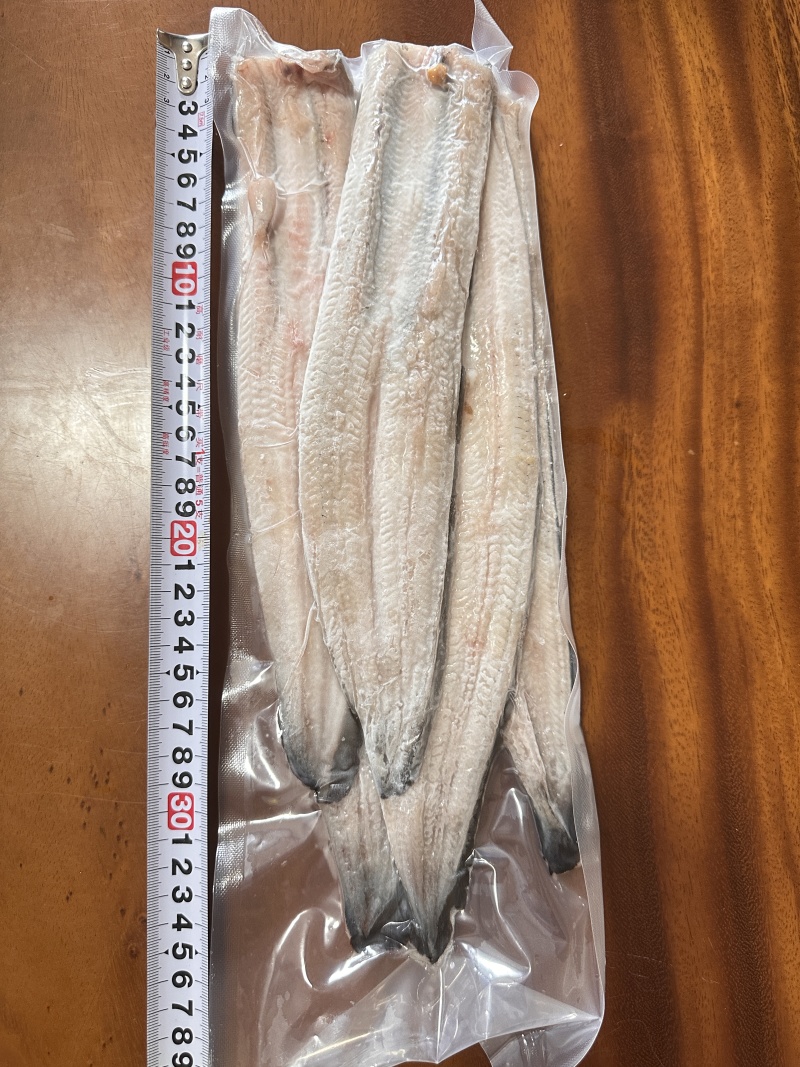 冷冻生鳗片规格齐全可定制可视频看货选货