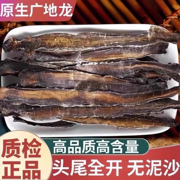 地龙全开地龙蚯蚓干纯净货无硫无土无泥沙个子切片