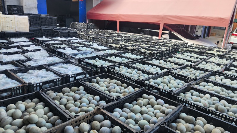 南昌皮蛋厂家松花皮蛋厂家，地摊电商货源