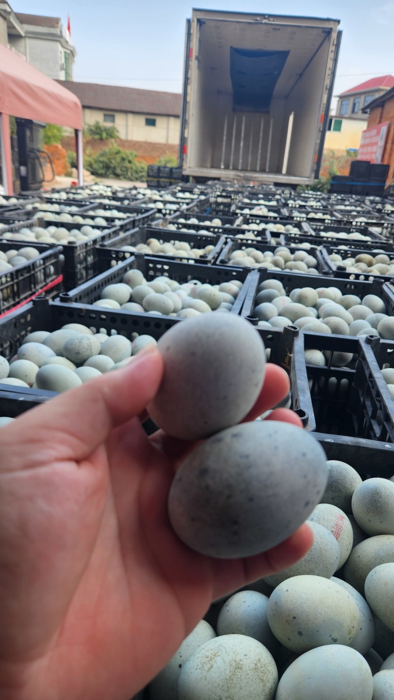 南昌皮蛋厂家松花皮蛋厂家，地摊电商货源