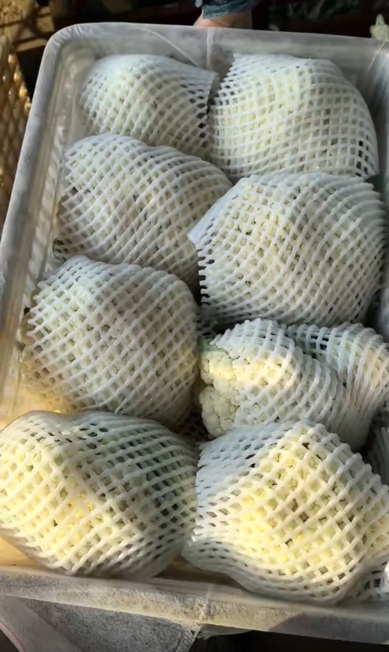 河北邯郸松花菜大量有货全国可发青梗菜花欢迎来电☎️实在