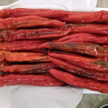 热卖红椒