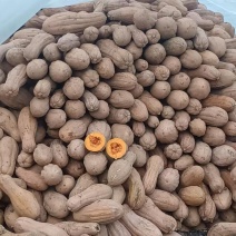 陕西汉中密本南瓜大量供应