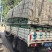 万亩小米椒种植基地露天种植品质好质量有保障适合超市电商货