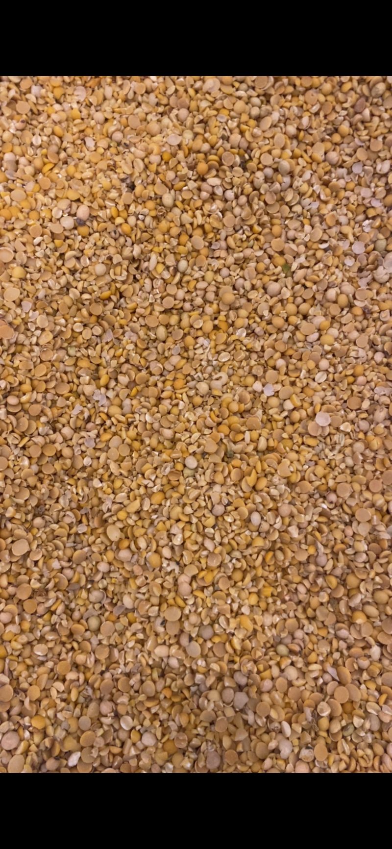 碎豆瓣上地施肥牛羊饲料水产养殖