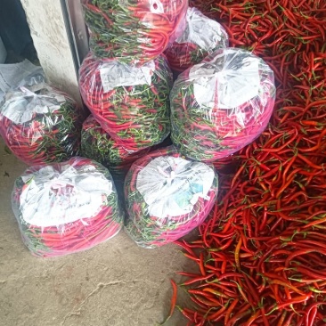 青红线椒产地直发质量保证