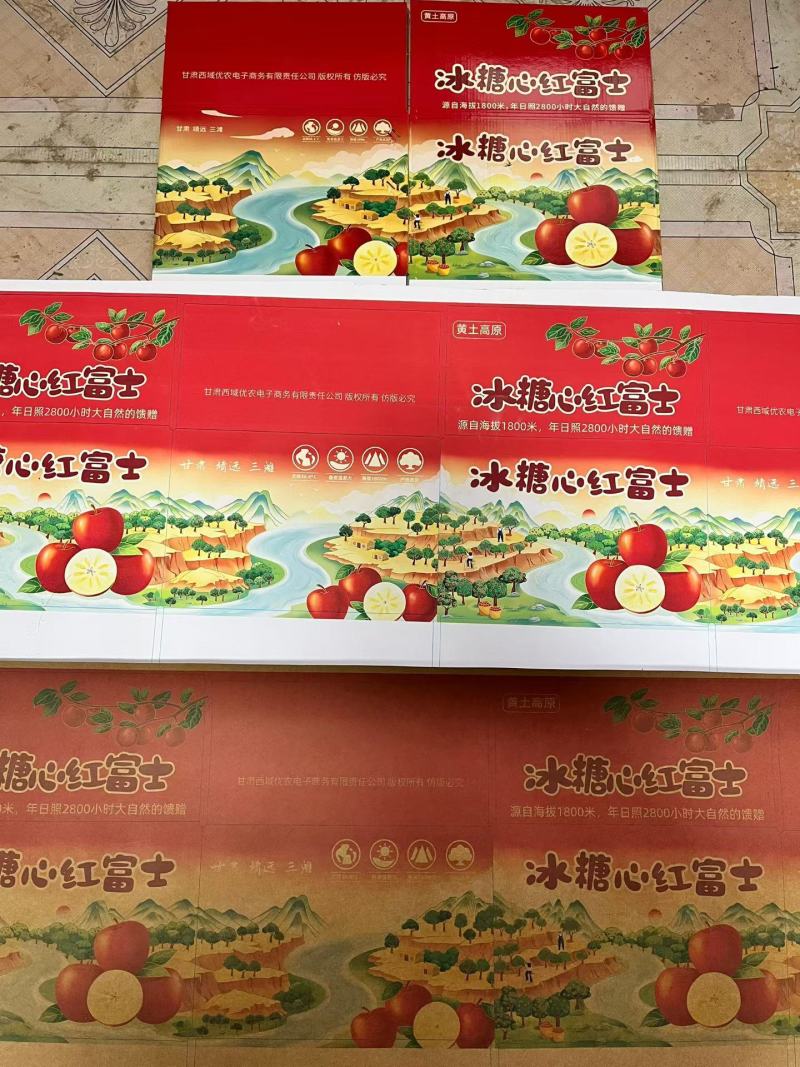 甘肃白银靖远冰糖心的红富士苹果，正在大量采摘
