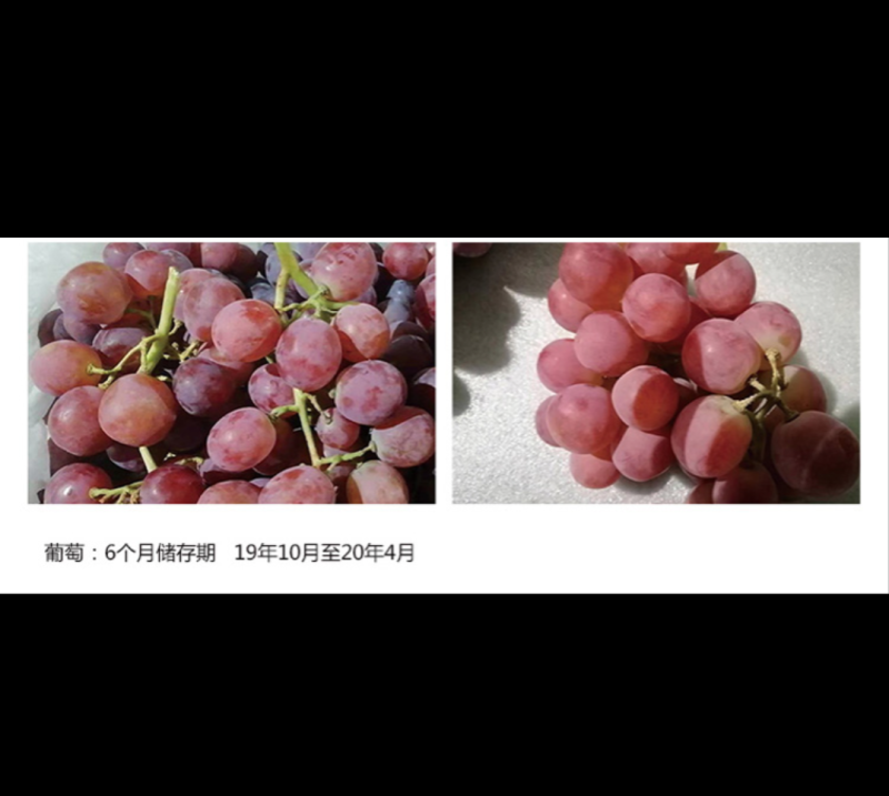 气调库出租
