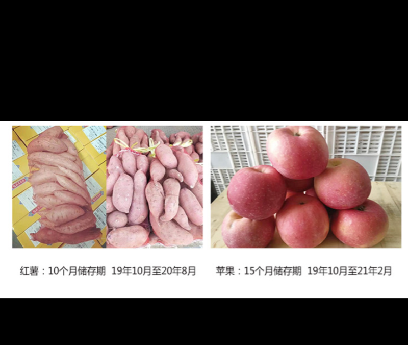 气调库出租