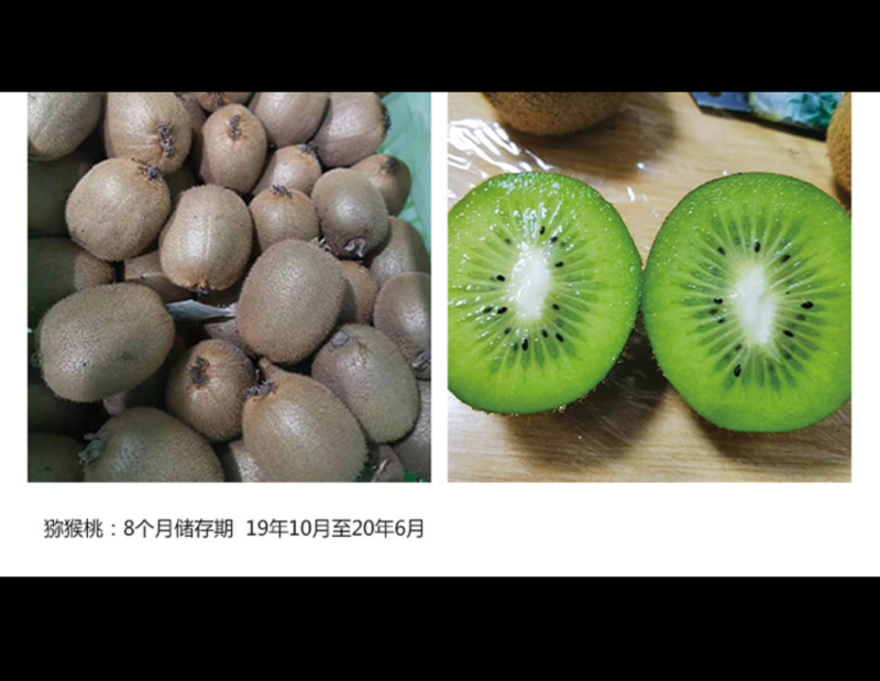 气调库出租