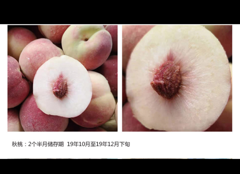 气调库出租