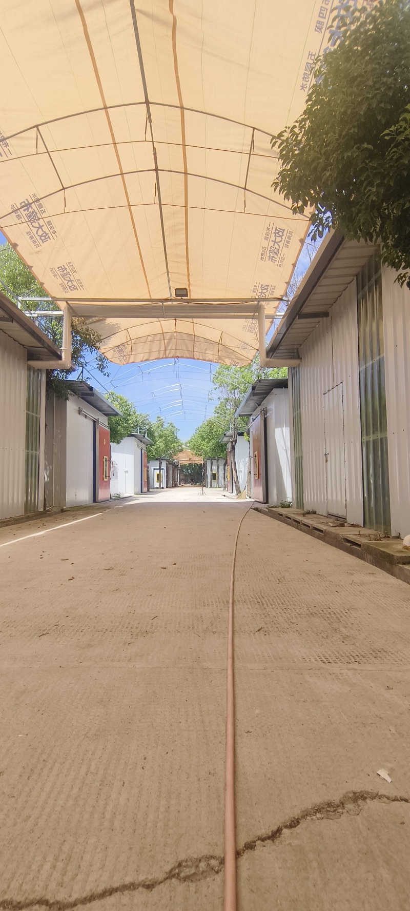 气调库出租