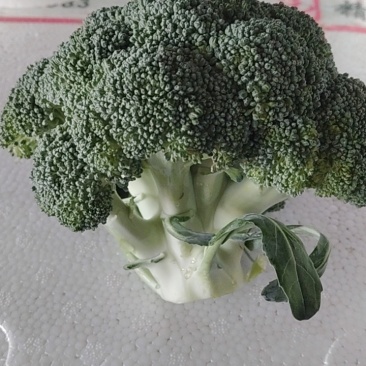 西兰花