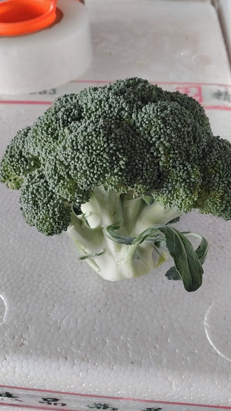 西兰花