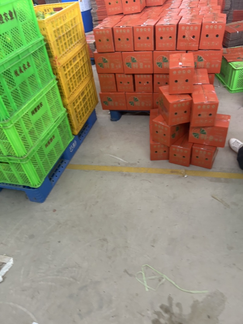 云南冰糖橙一件代发。对接电商通货