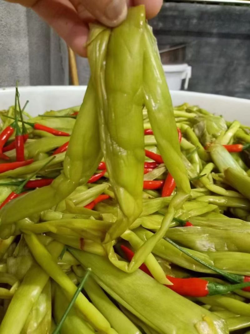 【泡菜】梅州客家酸芋荷