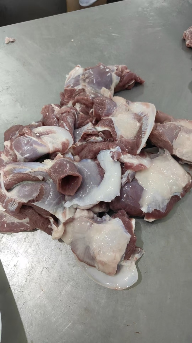 【羔羊高钙肉】当地草地羊的纯干不调理！新鲜速冻支持发样！
