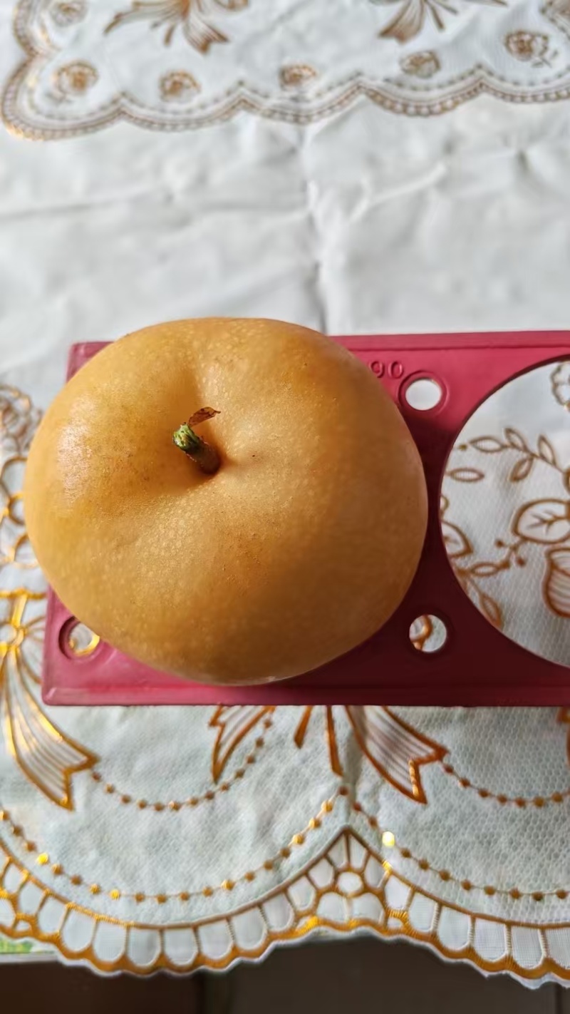 山东莱西市秋月梨