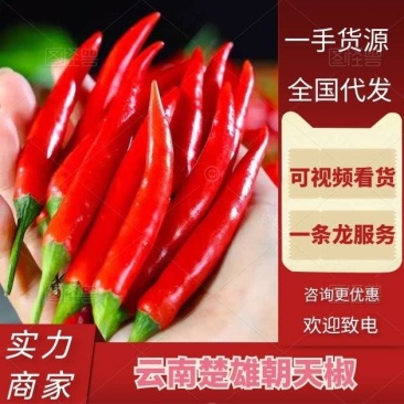 云南辣椒朝天椒产地直发货源充足价格优惠欢迎致电咨