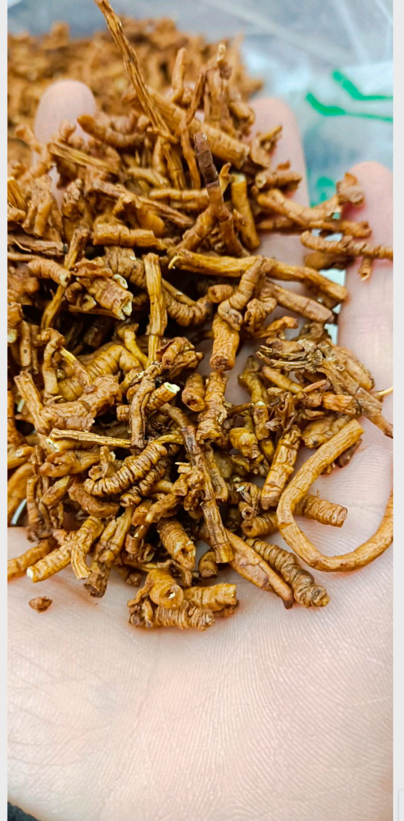 远志选货全抽心，主营各种中药材，生远志制远志远志