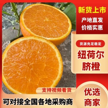 湖北纽荷尔脐橙货源充足口感甜供超市电商批发市场，童叟无欺