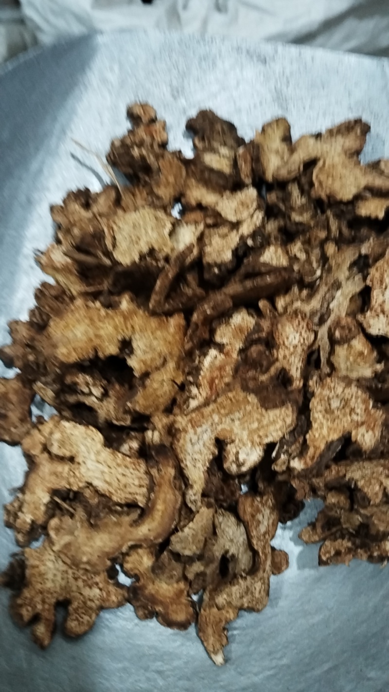 川黄柏实物拍摄物美价廉重在品质常年有货源
