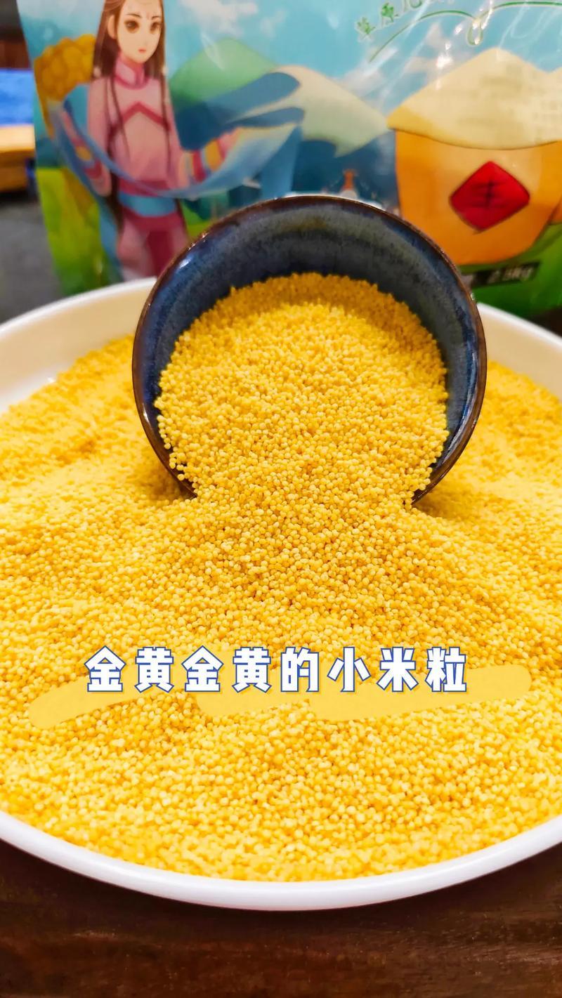 山西黄小米，新米