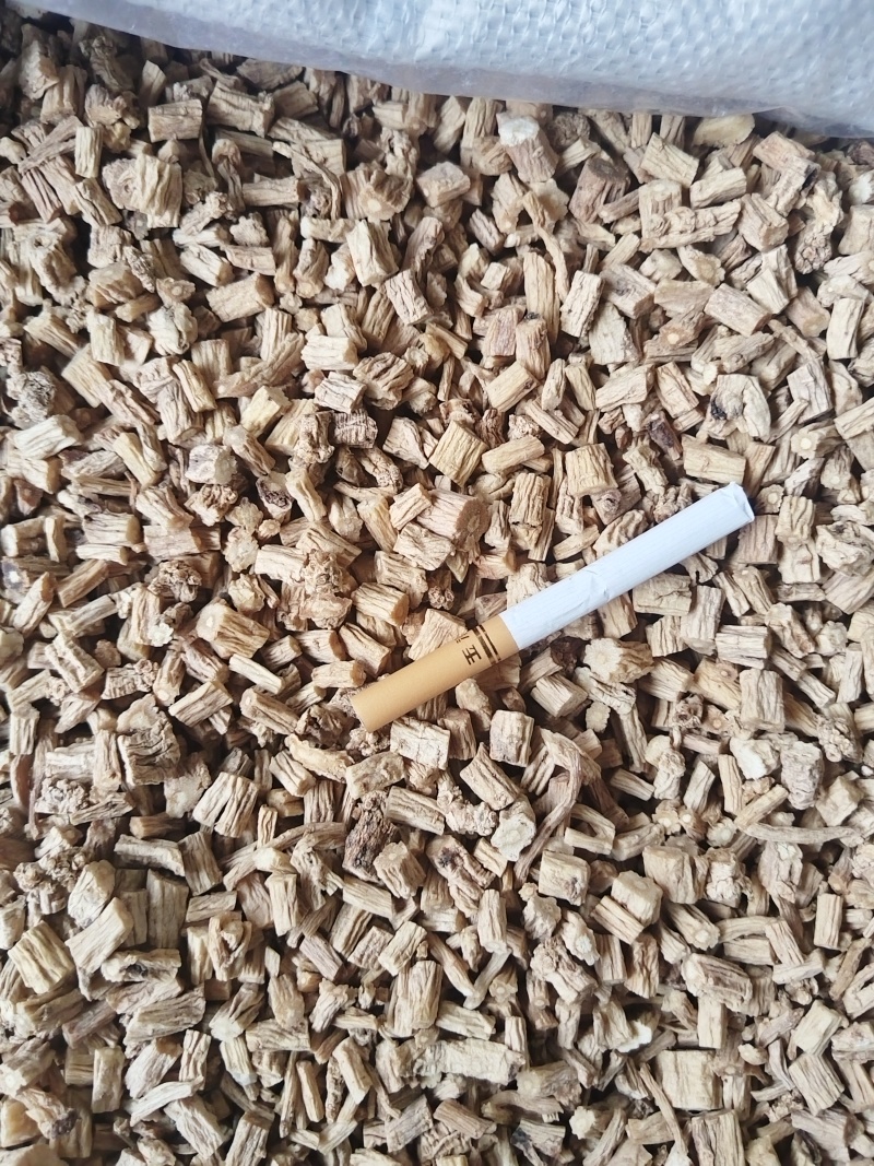 川黄柏实物拍摄物美价廉重在品质常年有货源