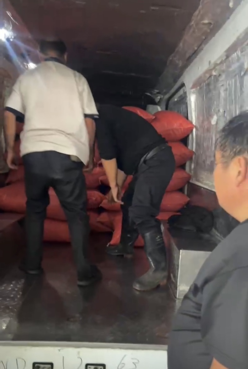 山东板栗，大量新鲜现货速发，产品保质保量，欢迎效果