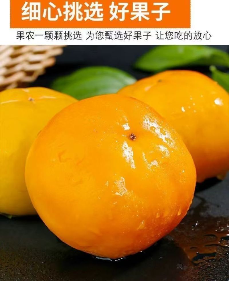包邮【无核脆甜柿子】冰糖心巧克力柿子无核柿子新鲜水果柿子