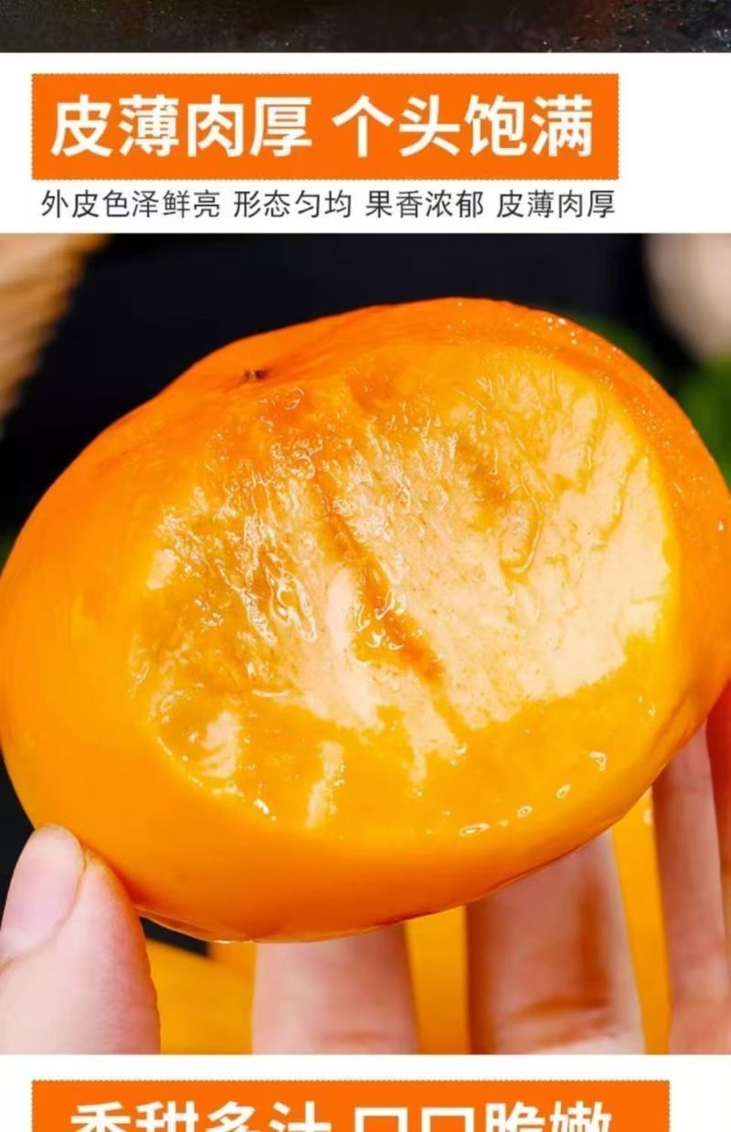 包邮【无核脆甜柿子】冰糖心巧克力柿子无核柿子新鲜水果柿子