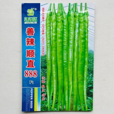 善高善辣顺直888软皮线椒辣椒种子,青果浅绿软皮顺直光亮